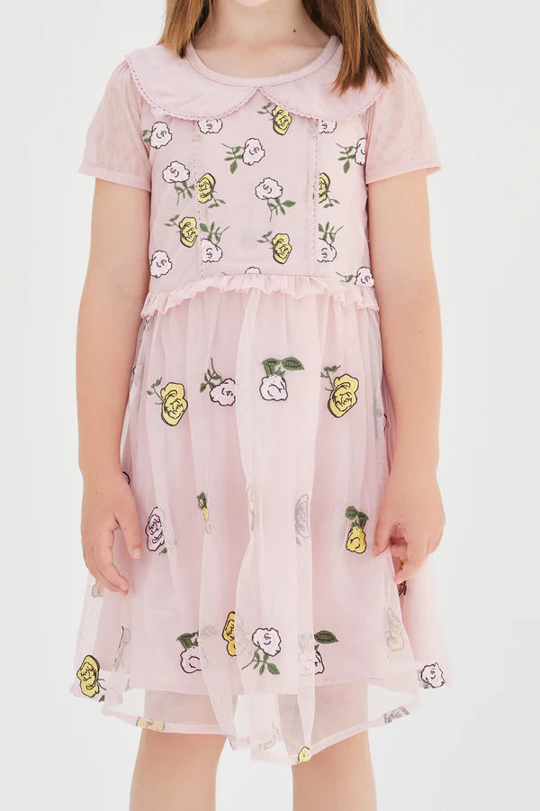 Rose Embroidered Collar Dress