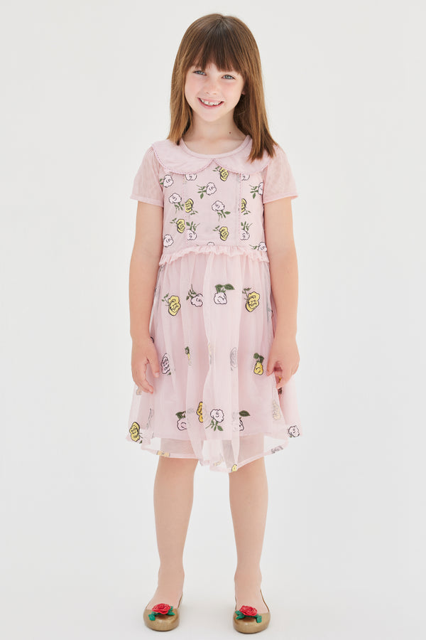 Rose Embroidered Collar Dress