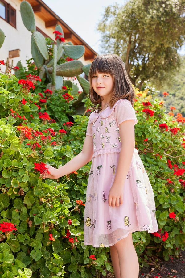 Rose Embroidered Collar Dress